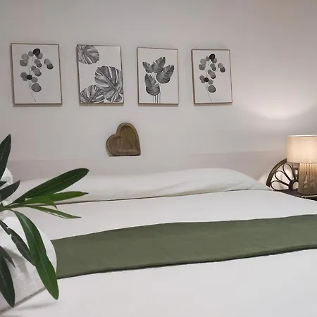 Re - Aurora Rimedia A 50 Metri Dal Mare *